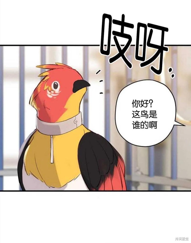 《请哭吧，皇太子》漫画最新章节第1话免费下拉式在线观看章节第【78】张图片