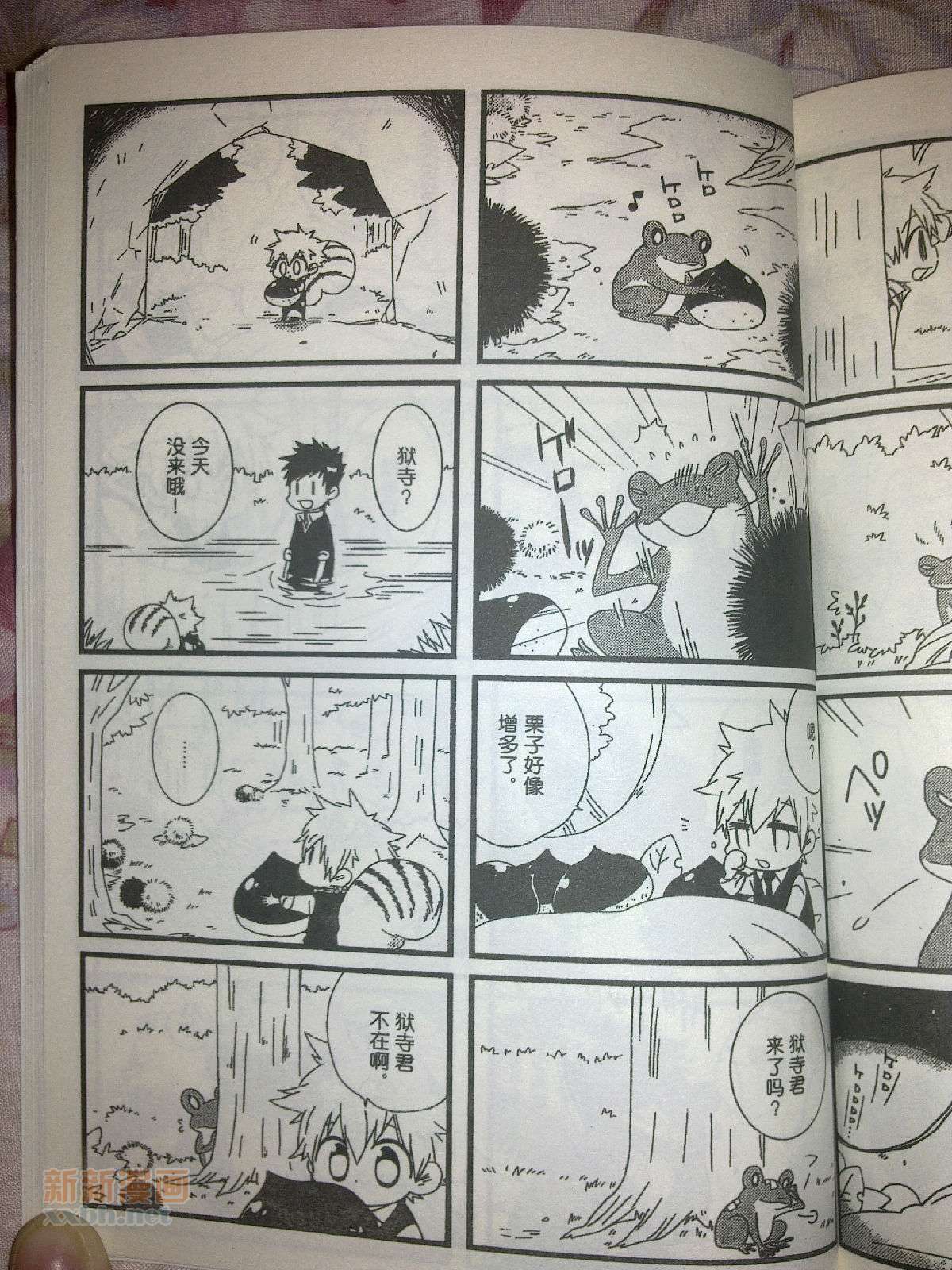 《[家教]狱纲（5927）/关白》漫画最新章节并森物语番外某日的森林免费下拉式在线观看章节第【13】张图片