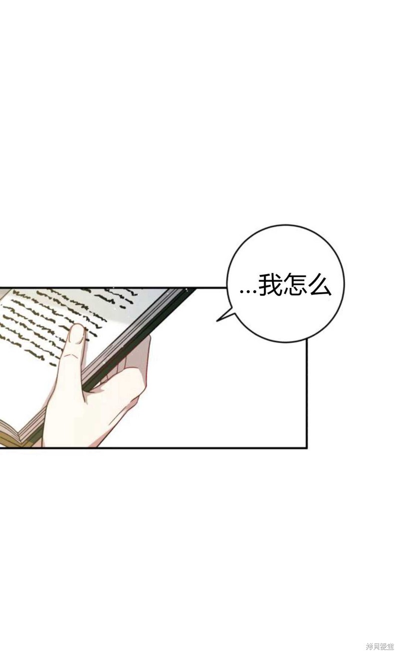 《追上卢克·维舍尔》漫画最新章节第3话免费下拉式在线观看章节第【41】张图片