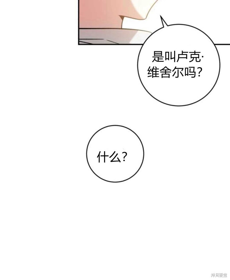 《追上卢克·维舍尔》漫画最新章节第3话免费下拉式在线观看章节第【16】张图片