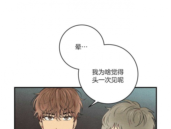 《文学少年》漫画最新章节第12话免费下拉式在线观看章节第【5】张图片