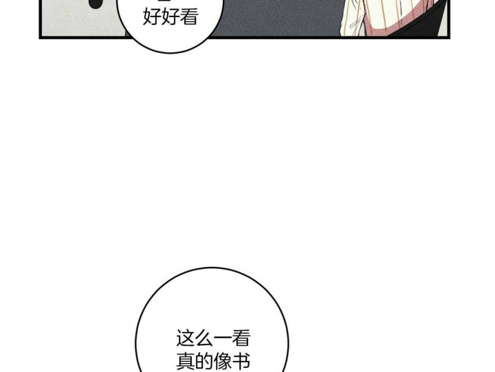 《文学少年》漫画最新章节第26话免费下拉式在线观看章节第【13】张图片