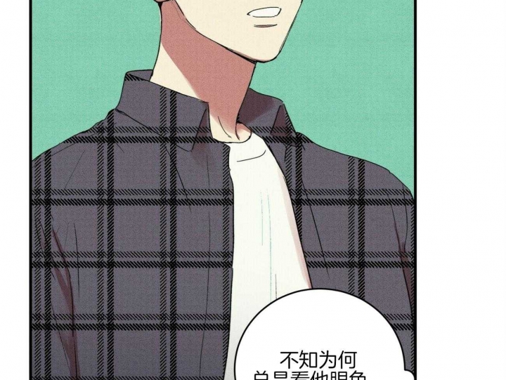 《文学少年》漫画最新章节第36话免费下拉式在线观看章节第【7】张图片