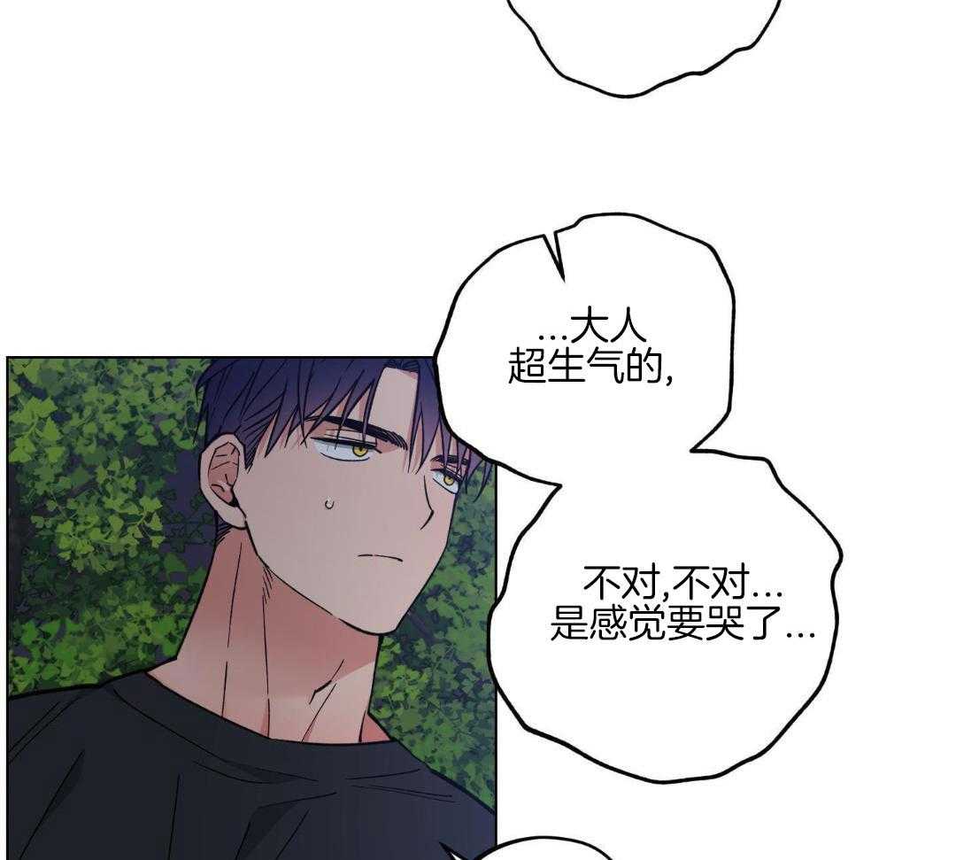 《试用伴侣》漫画最新章节第41话免费下拉式在线观看章节第【28】张图片