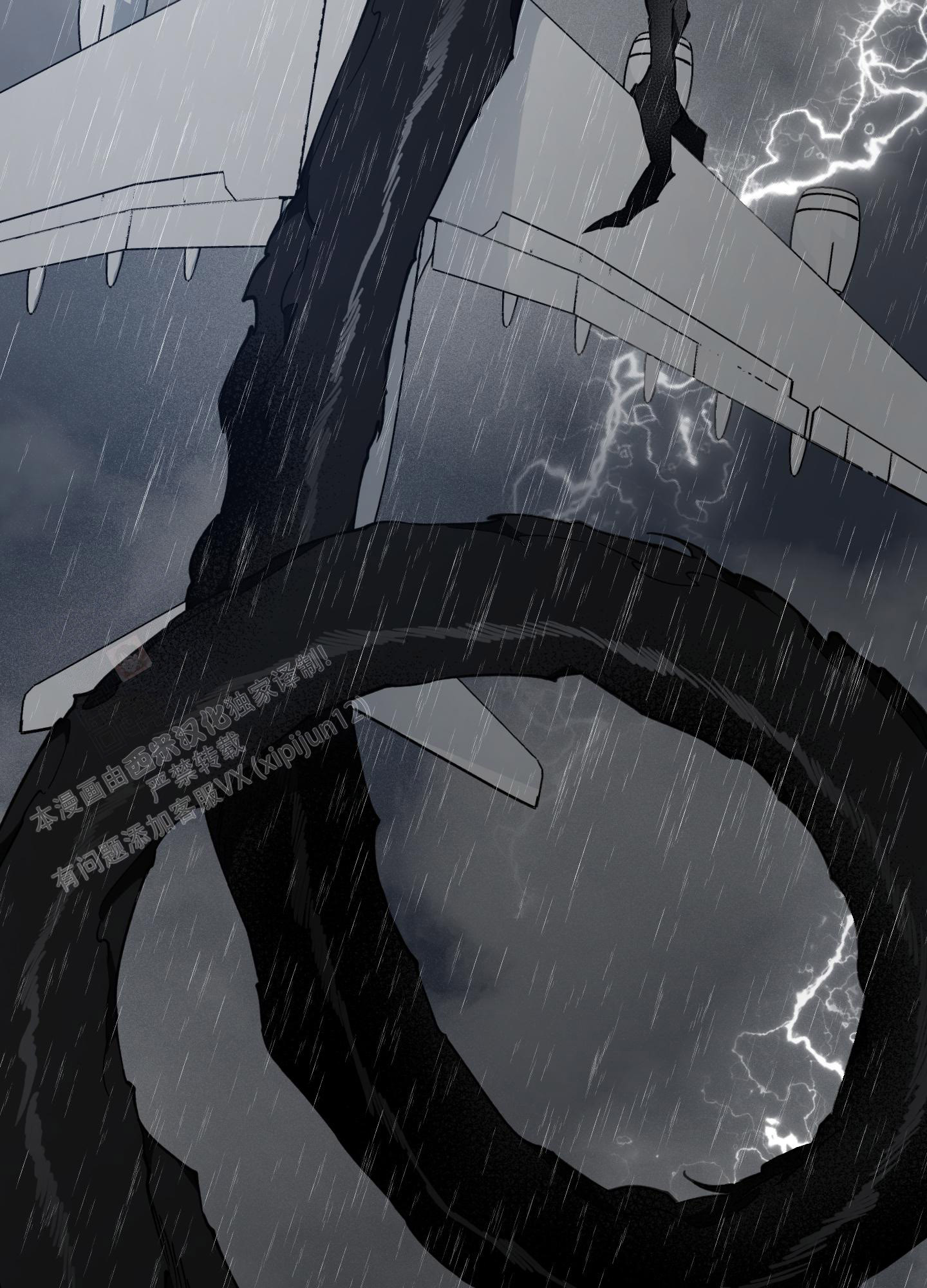 《试用伴侣》漫画最新章节第52话免费下拉式在线观看章节第【5】张图片