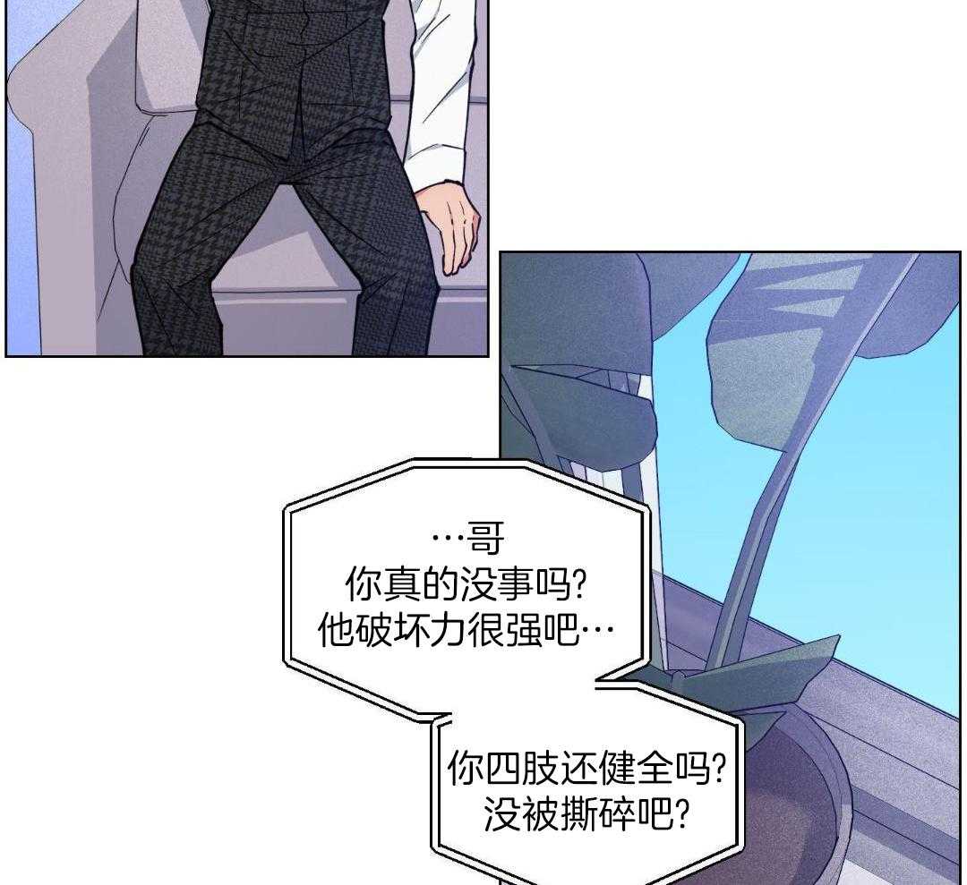 《试用伴侣》漫画最新章节第43话免费下拉式在线观看章节第【12】张图片