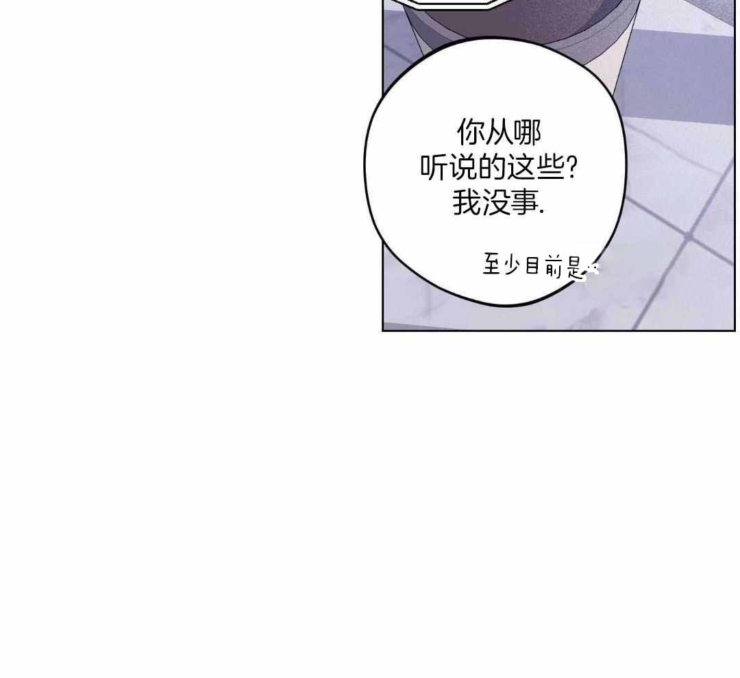 《试用伴侣》漫画最新章节第43话免费下拉式在线观看章节第【13】张图片