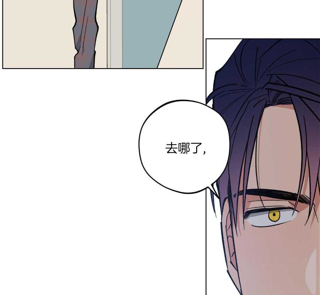 《试用伴侣》漫画最新章节第39话免费下拉式在线观看章节第【34】张图片