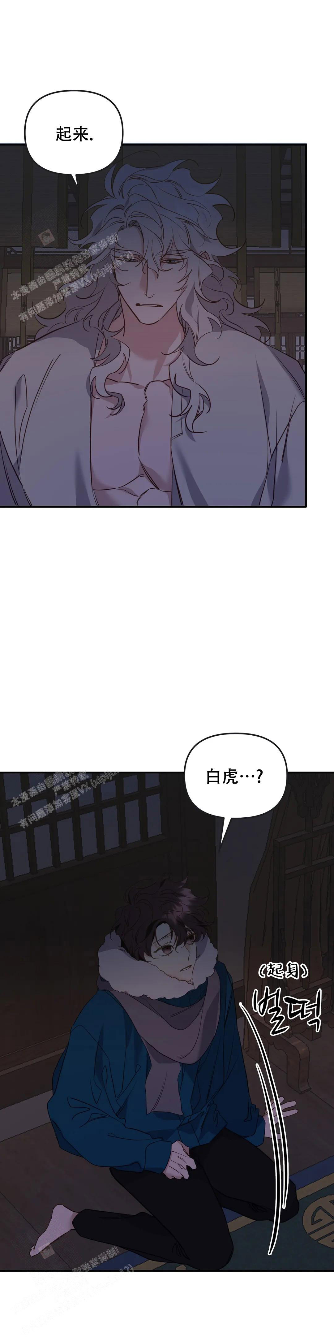 《虎从天降》漫画最新章节第26话免费下拉式在线观看章节第【12】张图片