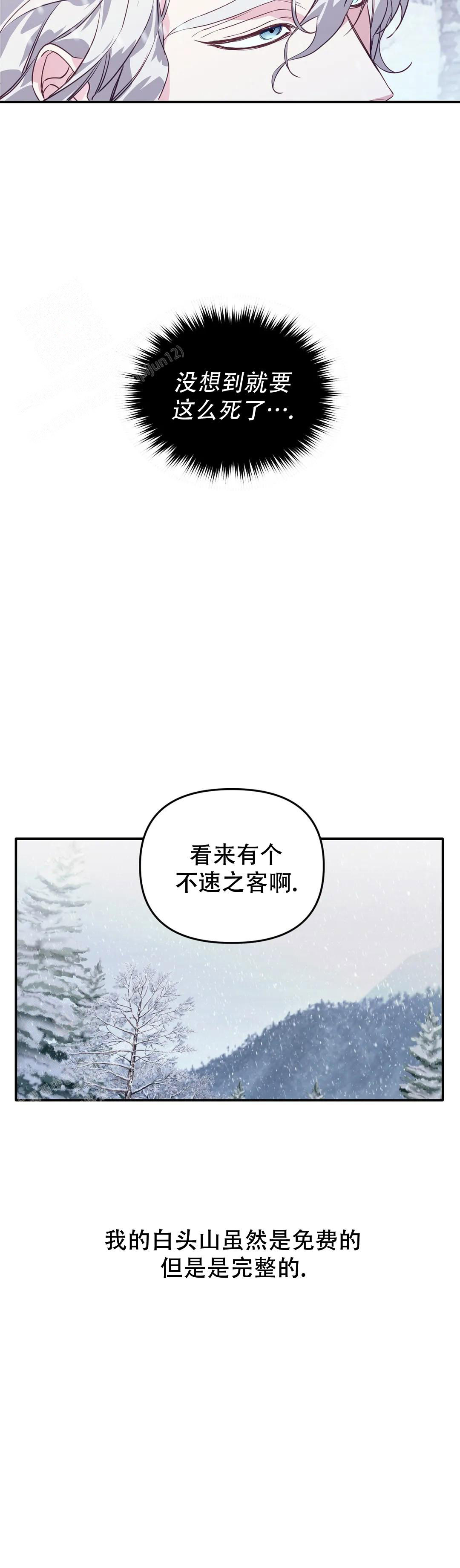 《虎从天降》漫画最新章节第21话免费下拉式在线观看章节第【3】张图片