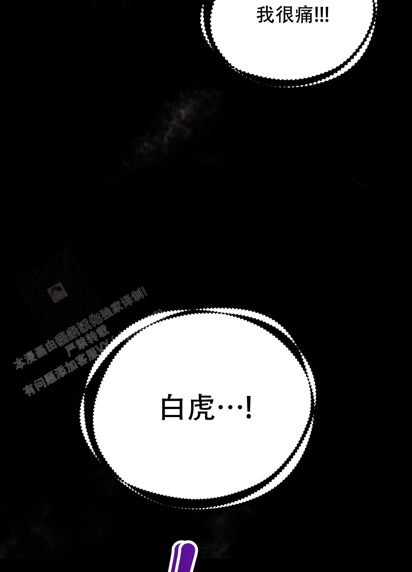 《虎从天降》漫画最新章节第6话免费下拉式在线观看章节第【24】张图片