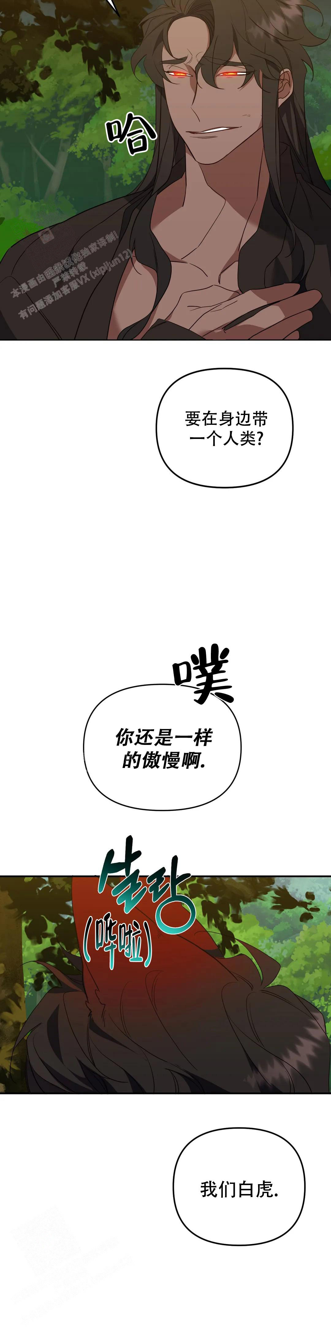 《虎从天降》漫画最新章节第30话免费下拉式在线观看章节第【14】张图片