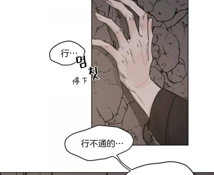 《冷血动物(I+II季)》漫画最新章节第68话免费下拉式在线观看章节第【17】张图片