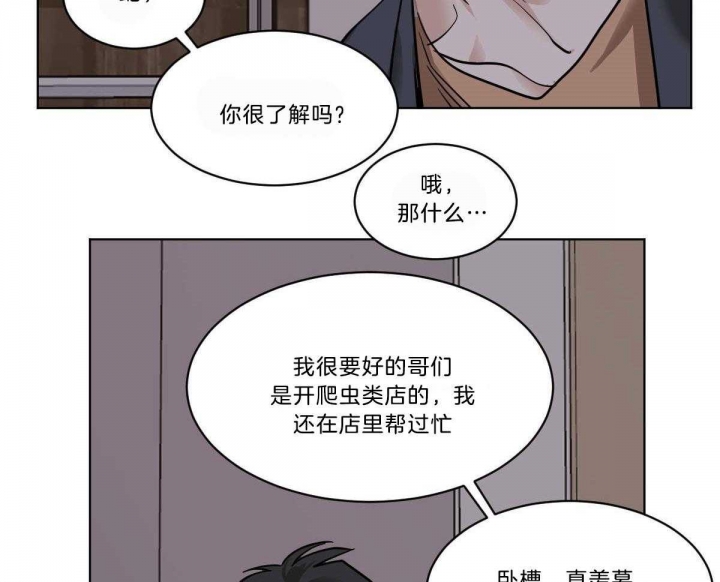 《冷血动物(I+II季)》漫画最新章节第50话免费下拉式在线观看章节第【12】张图片