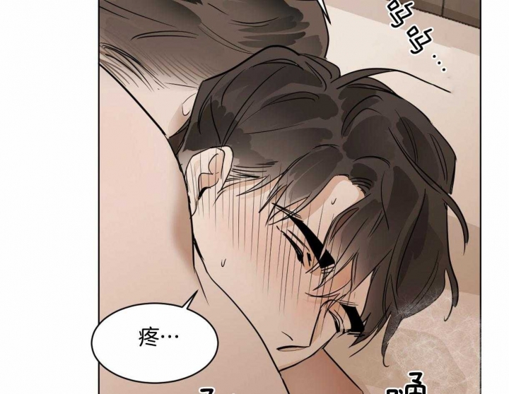 《冷血动物(I+II季)》漫画最新章节第33话免费下拉式在线观看章节第【14】张图片