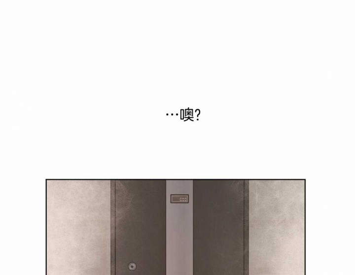 《冷血动物(I+II季)》漫画最新章节第33话免费下拉式在线观看章节第【1】张图片