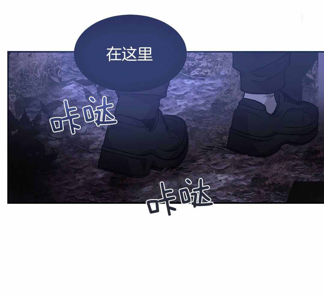 《冷血动物(I+II季)》漫画最新章节第119话免费下拉式在线观看章节第【15】张图片