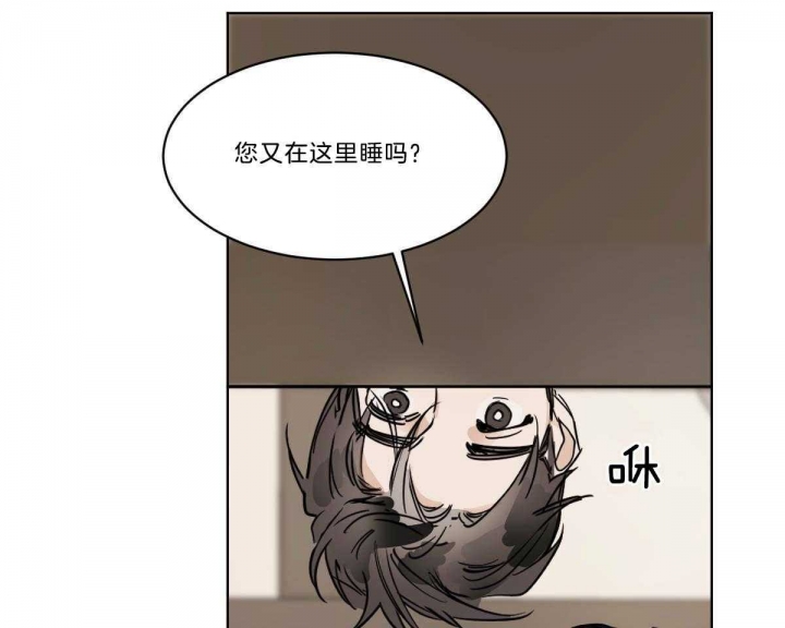 《冷血动物(I+II季)》漫画最新章节第37话免费下拉式在线观看章节第【3】张图片