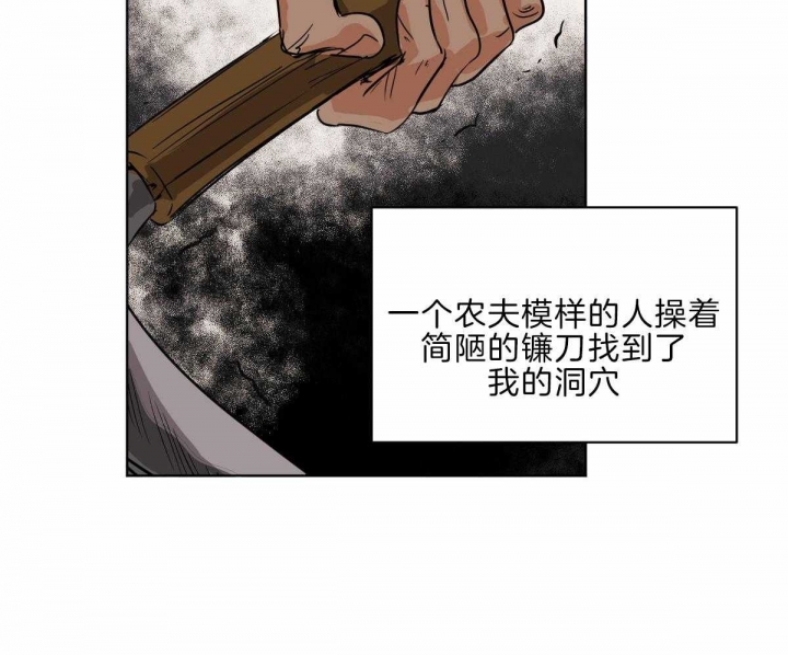 《冷血动物(I+II季)》漫画最新章节第60话免费下拉式在线观看章节第【32】张图片