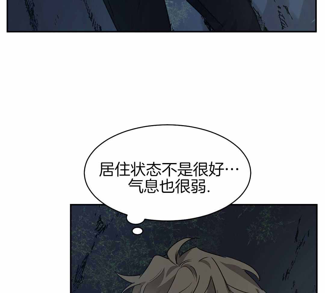 《冷血动物(I+II季)》漫画最新章节第119话免费下拉式在线观看章节第【43】张图片