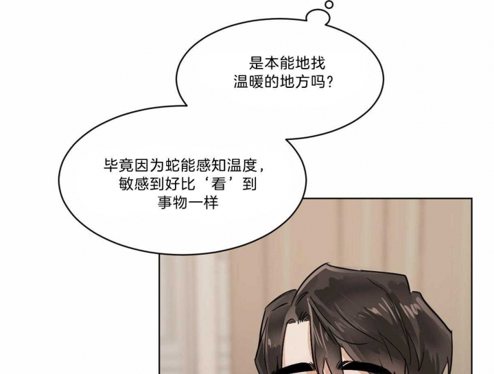 《冷血动物(I+II季)》漫画最新章节第20话免费下拉式在线观看章节第【24】张图片