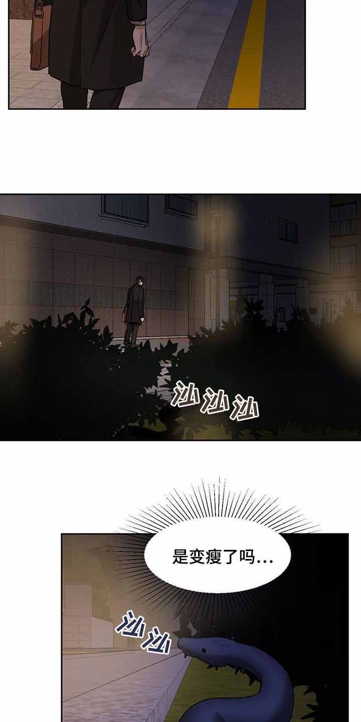 《冷血动物(I+II季)》漫画最新章节第113话免费下拉式在线观看章节第【3】张图片