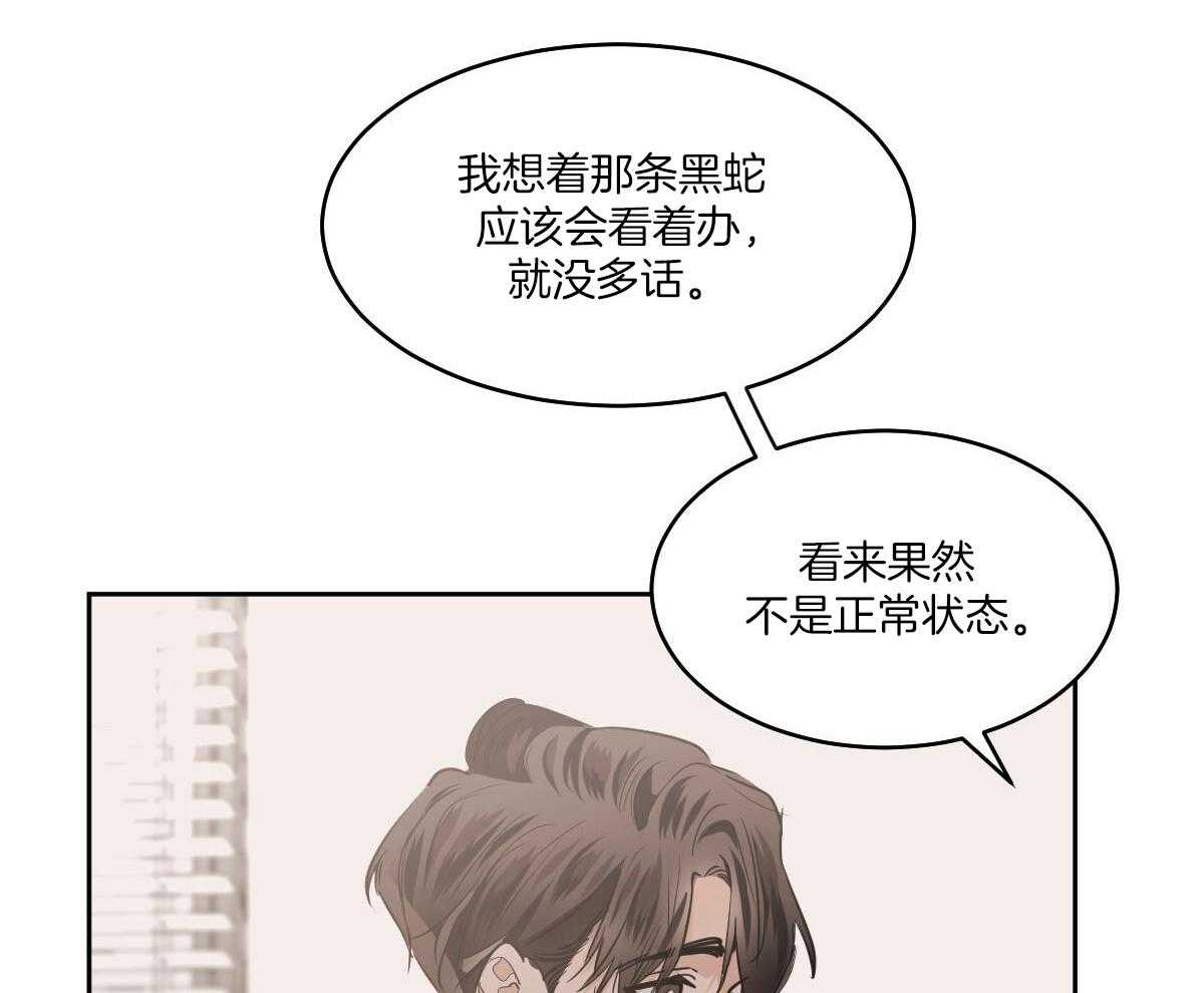 《冷血动物(I+II季)》漫画最新章节第135话免费下拉式在线观看章节第【33】张图片