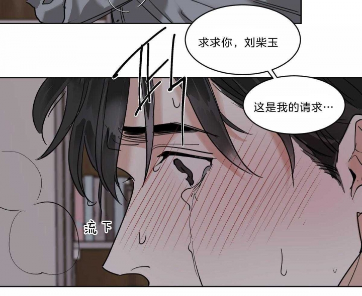 《冷血动物(I+II季)》漫画最新章节第48话免费下拉式在线观看章节第【11】张图片