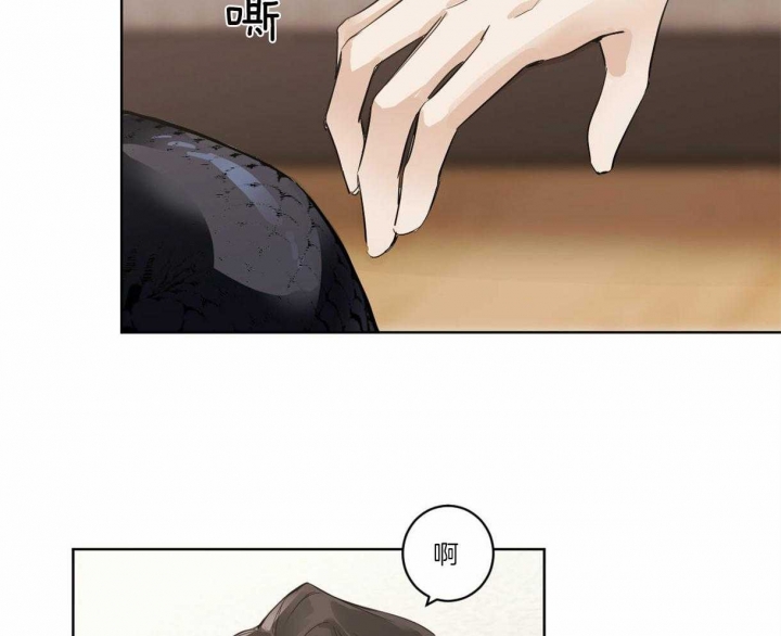 《冷血动物(I+II季)》漫画最新章节第2话免费下拉式在线观看章节第【24】张图片