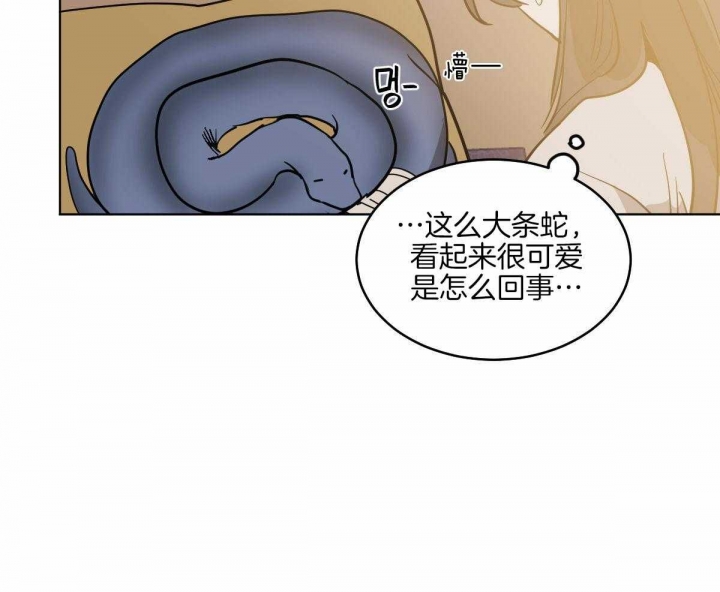 《冷血动物(I+II季)》漫画最新章节第71话免费下拉式在线观看章节第【34】张图片