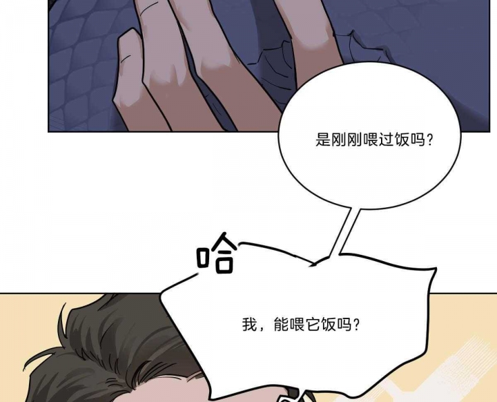 《冷血动物(I+II季)》漫画最新章节第50话免费下拉式在线观看章节第【15】张图片