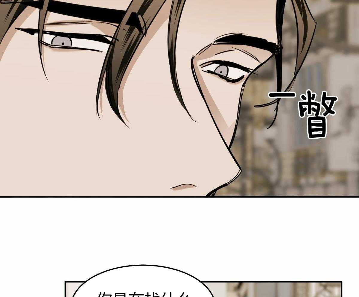 《冷血动物(I+II季)》漫画最新章节第95话免费下拉式在线观看章节第【15】张图片