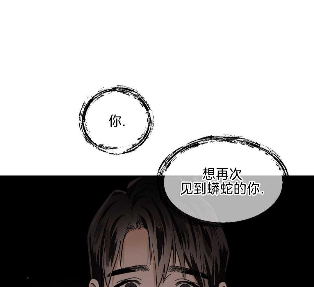 《冷血动物(I+II季)》漫画最新章节第121话免费下拉式在线观看章节第【36】张图片