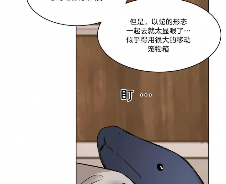 《冷血动物(I+II季)》漫画最新章节第37话免费下拉式在线观看章节第【17】张图片