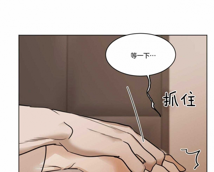 《冷血动物(I+II季)》漫画最新章节第33话免费下拉式在线观看章节第【33】张图片