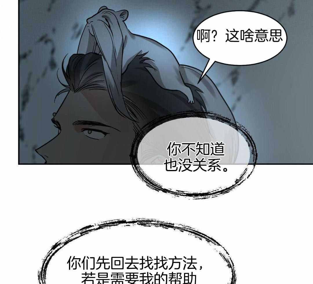 《冷血动物(I+II季)》漫画最新章节第128话免费下拉式在线观看章节第【7】张图片