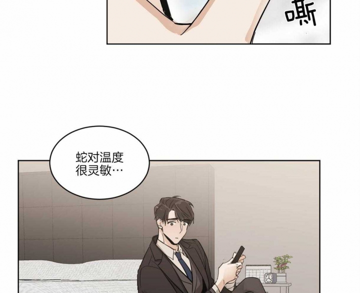 《冷血动物(I+II季)》漫画最新章节第2话免费下拉式在线观看章节第【22】张图片