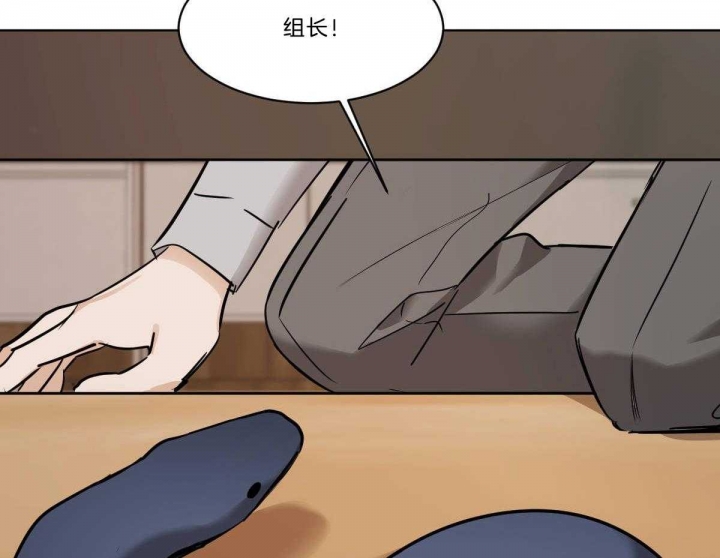 《冷血动物(I+II季)》漫画最新章节第36话免费下拉式在线观看章节第【4】张图片