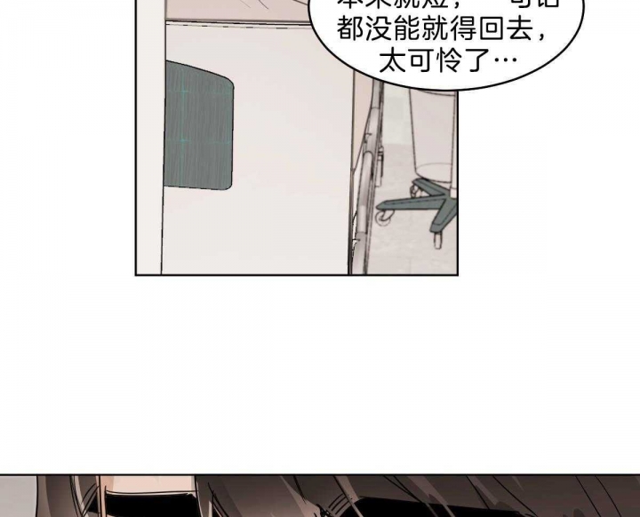 《冷血动物(I+II季)》漫画最新章节第53话免费下拉式在线观看章节第【17】张图片