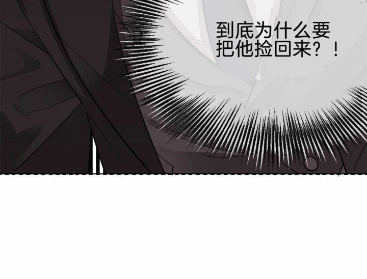 《冷血动物(I+II季)》漫画最新章节第2话免费下拉式在线观看章节第【17】张图片