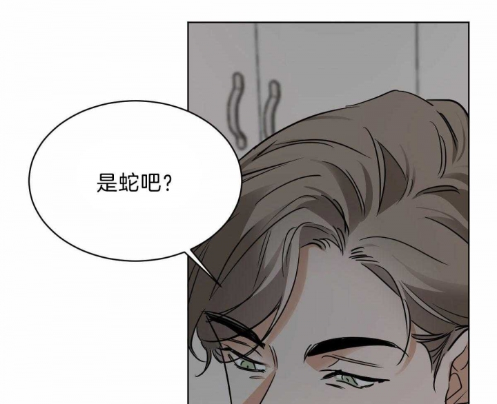 《冷血动物(I+II季)》漫画最新章节第43话免费下拉式在线观看章节第【3】张图片