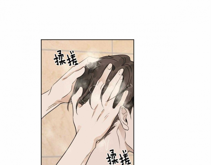 《冷血动物(I+II季)》漫画最新章节第14话免费下拉式在线观看章节第【41】张图片