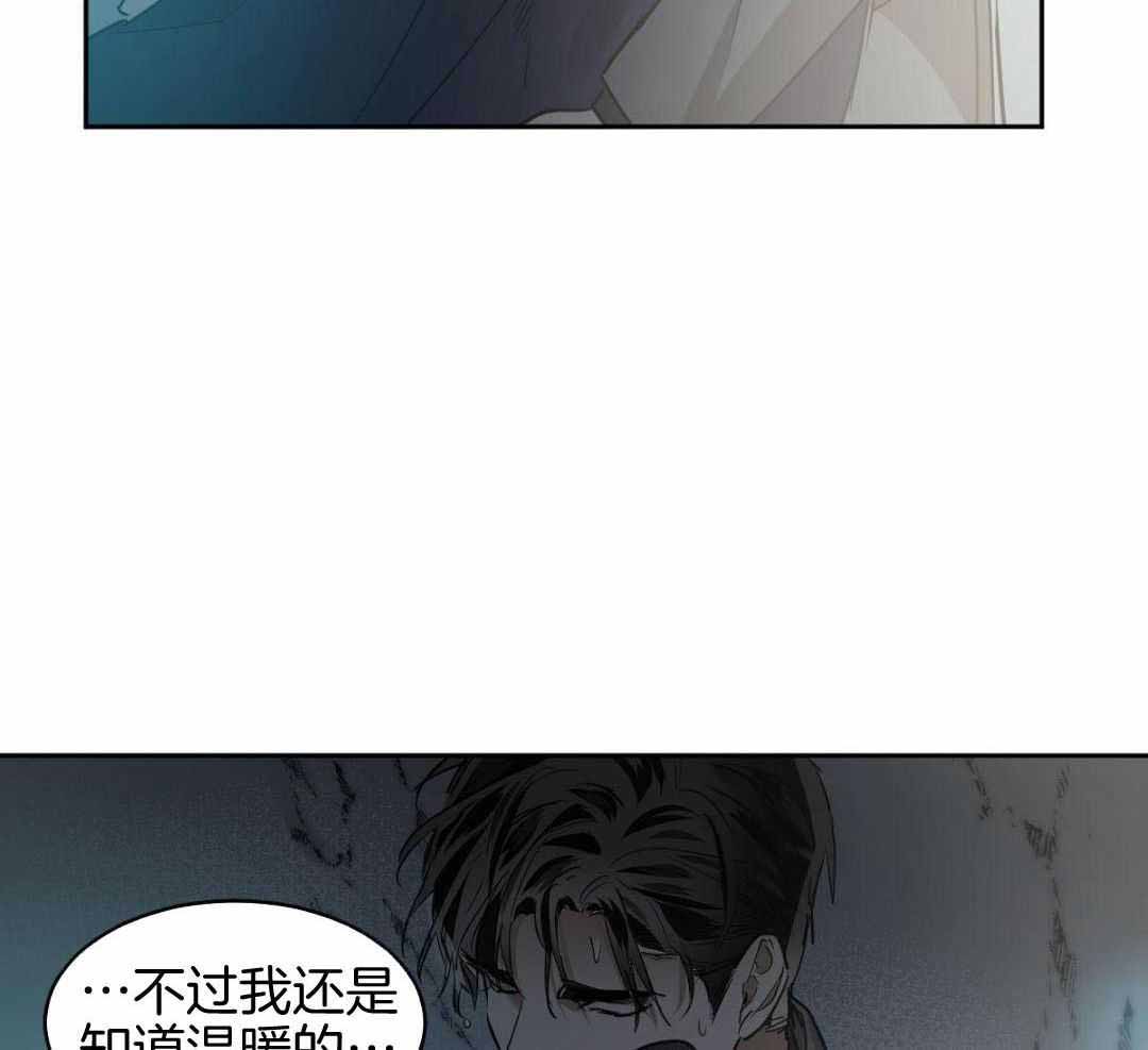 《冷血动物(I+II季)》漫画最新章节第127话免费下拉式在线观看章节第【36】张图片