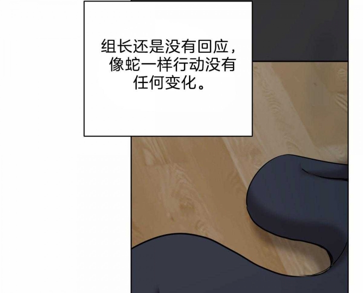 《冷血动物(I+II季)》漫画最新章节第43话免费下拉式在线观看章节第【47】张图片