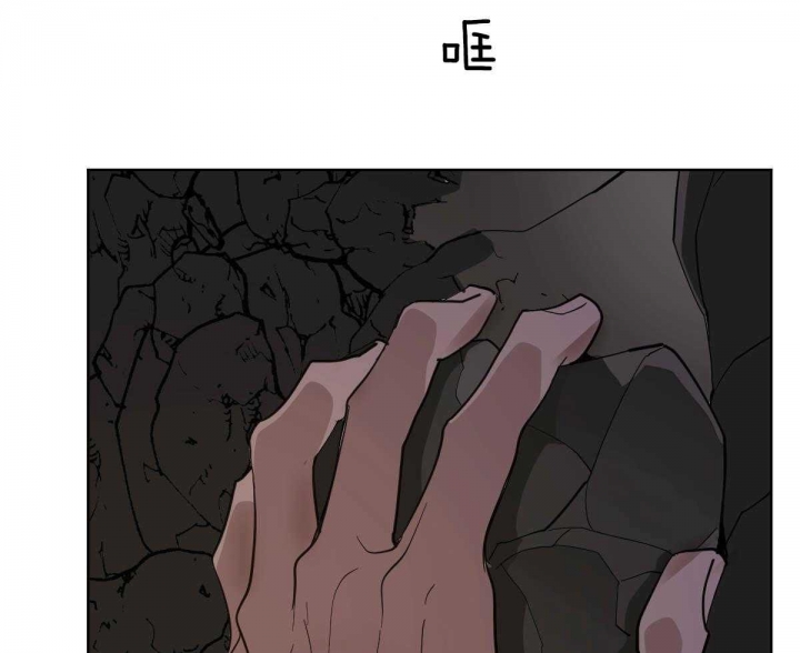 《冷血动物(I+II季)》漫画最新章节第68话免费下拉式在线观看章节第【12】张图片