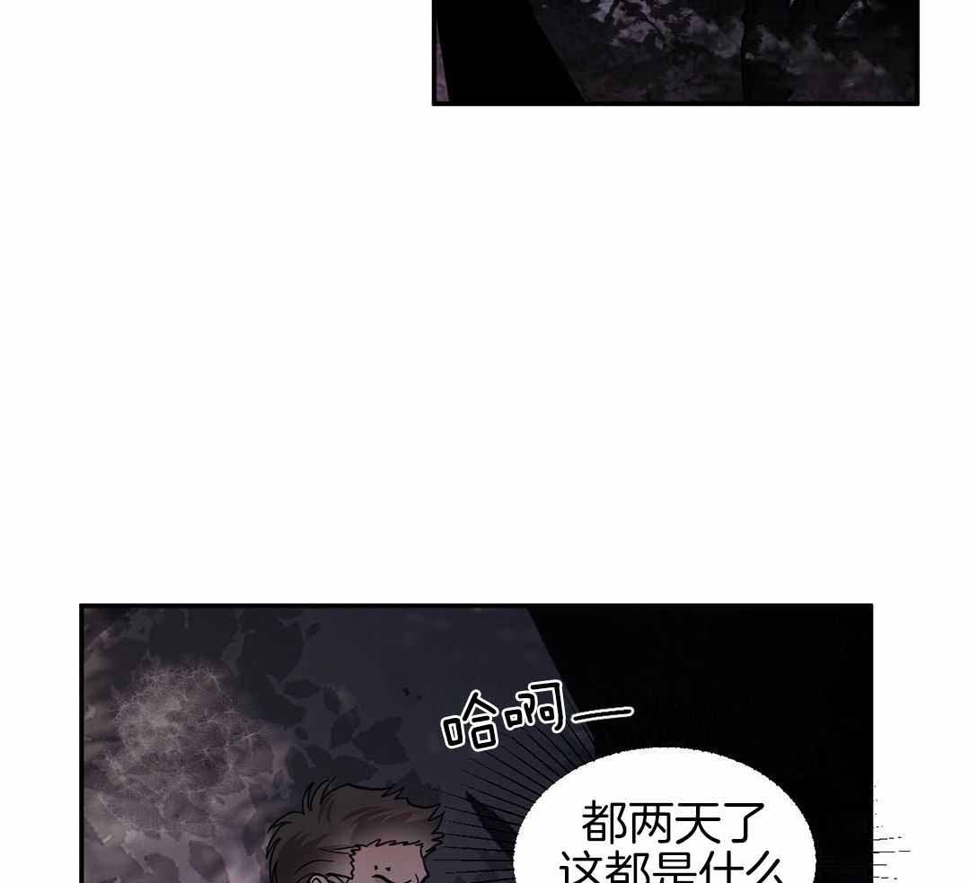 《冷血动物(I+II季)》漫画最新章节第118话免费下拉式在线观看章节第【31】张图片