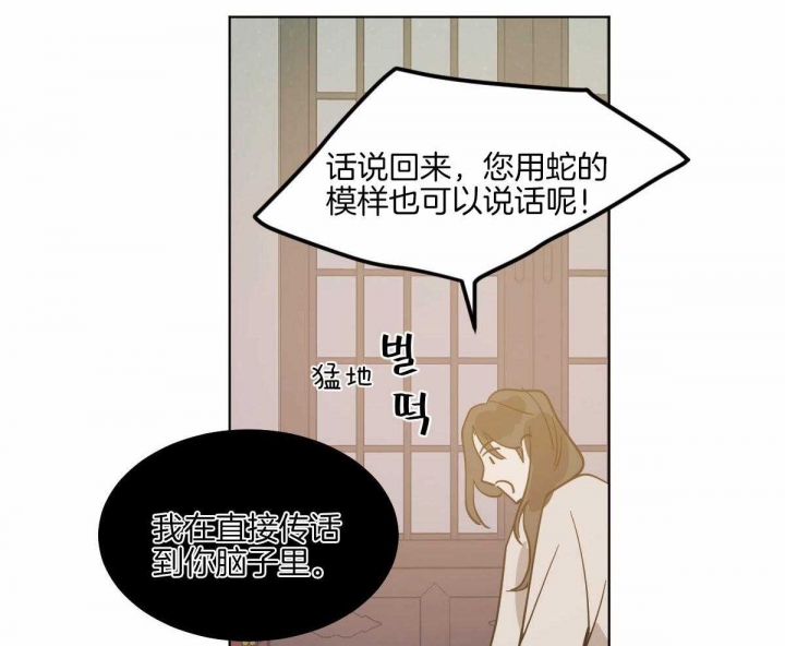 《冷血动物(I+II季)》漫画最新章节第71话免费下拉式在线观看章节第【35】张图片