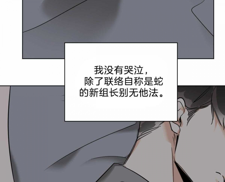 《冷血动物(I+II季)》漫画最新章节第43话免费下拉式在线观看章节第【51】张图片