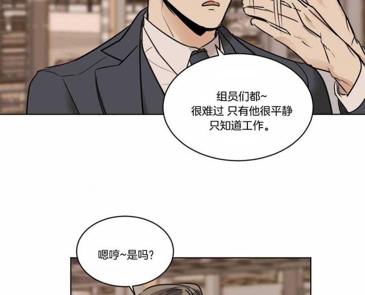 《冷血动物(I+II季)》漫画最新章节第34话免费下拉式在线观看章节第【19】张图片