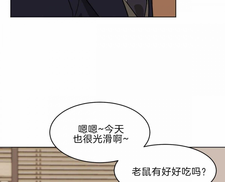 《冷血动物(I+II季)》漫画最新章节第58话免费下拉式在线观看章节第【27】张图片